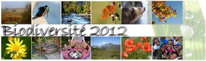 biodiversité 2012