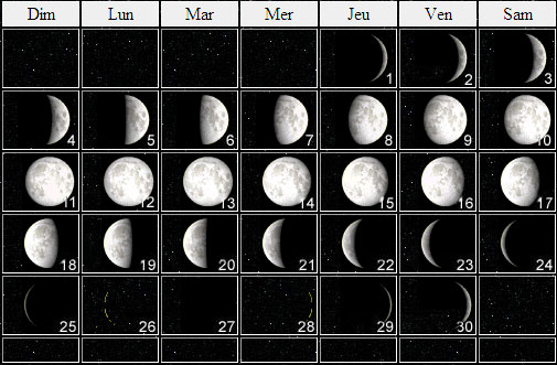 calendrier 2011 lunaire