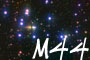 M44