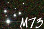 M73