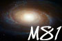 M81