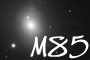 M85