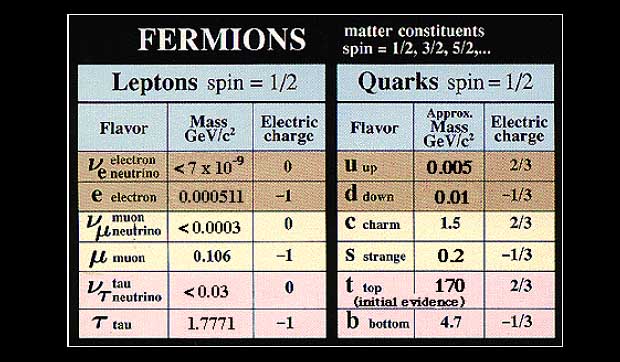 fermions