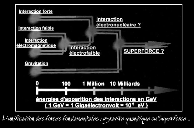 unification des forces fondamentales
